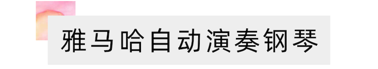 活动报道 | 远程艺术教育大师课活动——千赢国际特邀艺术家张奕明大师课